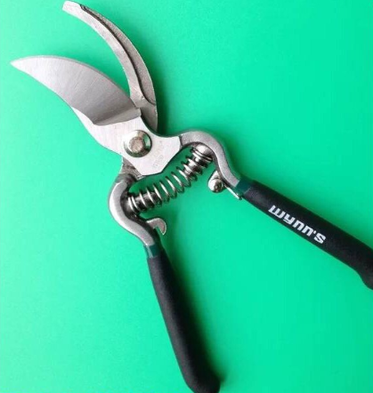 กรรไกรตัดกิ่งไม้