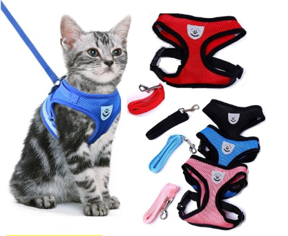 สายจูงสัตว์เลี้ยง